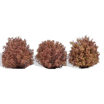 3 Büsche Herbst, 40 mm hoch