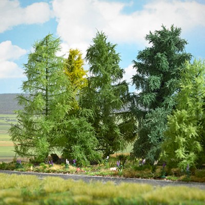 Lärche, 210 mm hoch, Spätsommer