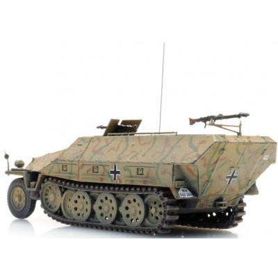 WM Sdkfz 251/1 D, Tarnung