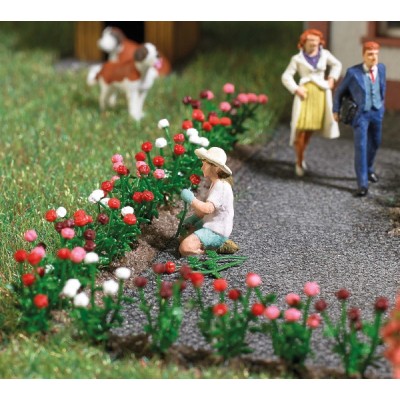 Rosenpflückerin, sitzende Frau mit Strohhut, die eine frisch gepflückte Rose in ihren Händen hält. Mit Rosenbüschen in verschiedenen Farben